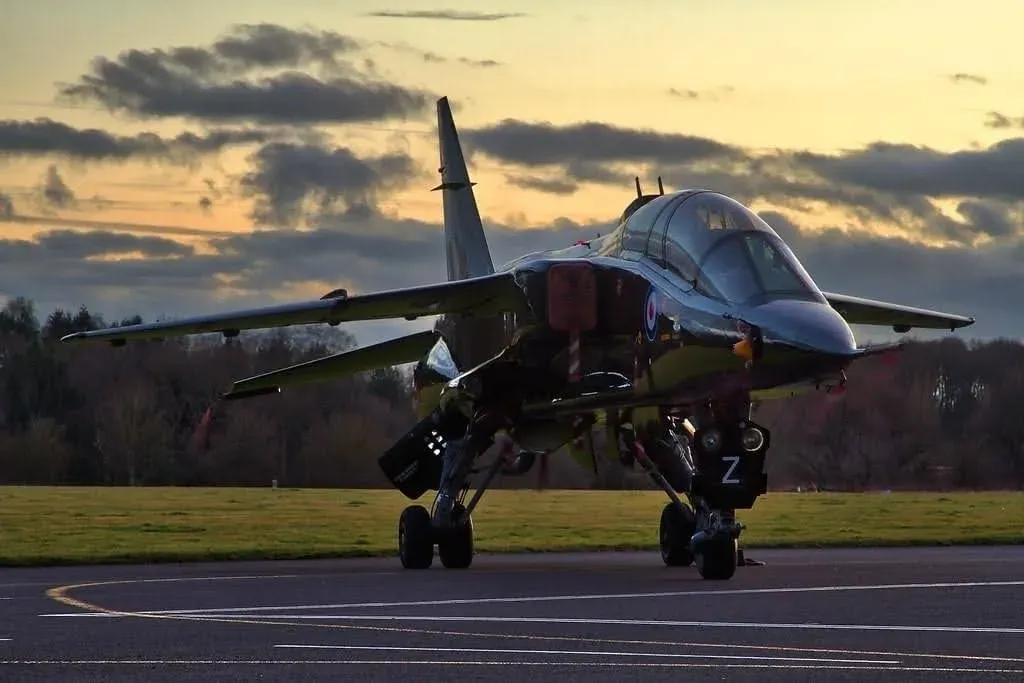 Jaguar at dawn